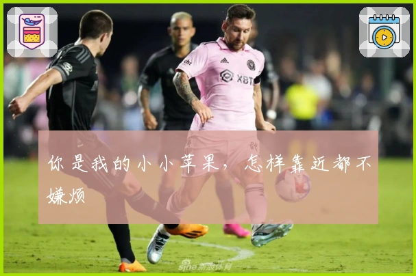 你是我的小小苹果，怎样靠近都不嫌烦