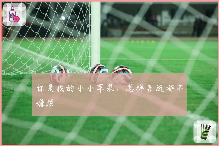 你是我的小小苹果，怎样靠近都不嫌烦